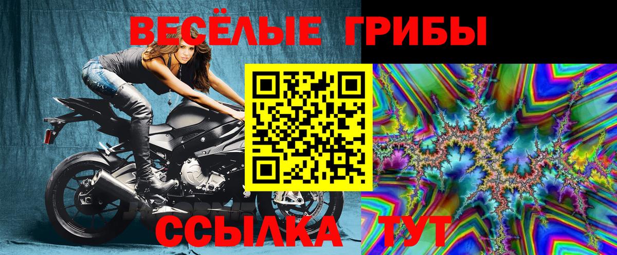 Псилоцибиновые грибы ЛСД Новоалександровск