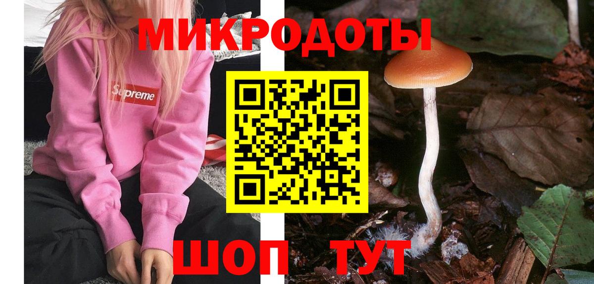 Псилоцибиновые грибы MAGIC MUSHROOMS  Галлюциногенные грибы мухоморы  где купить   Вход с VPN  Новоалександровск 